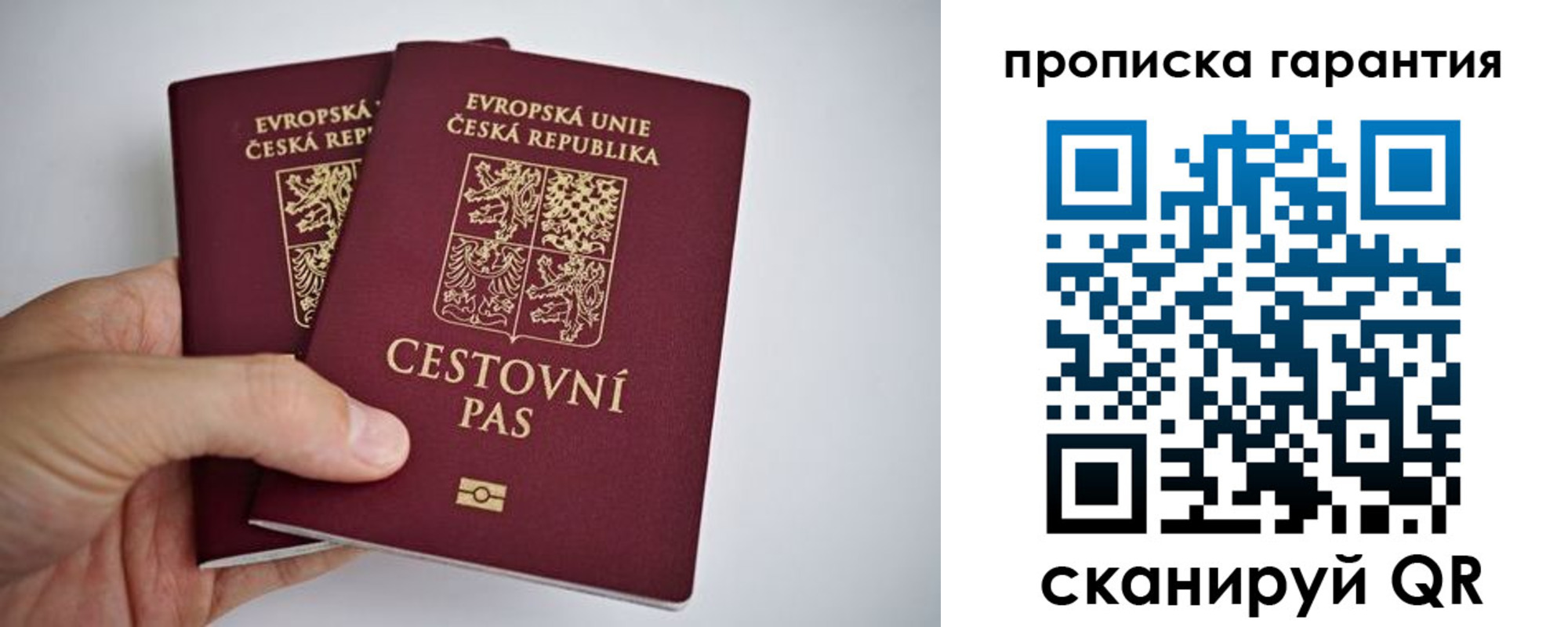 прописка в Касимове